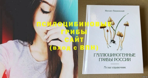 амф Абдулино