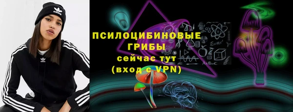 стафф Алзамай