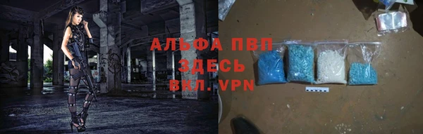 стаф Абаза