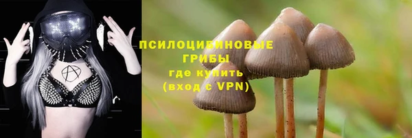 стаф Абаза